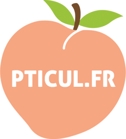 www.pticul.fr